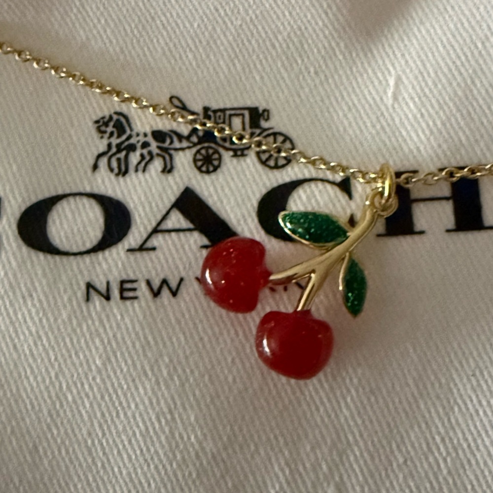 Coach cherry pendant necklace NWT JEWELRY POUCH - Picture 5 of 12